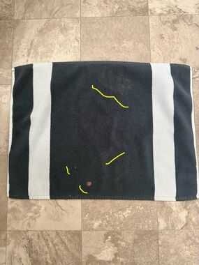 Restoration Hardware Turkish Cotton Striped Bath Mat